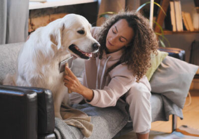 Pets: dicas de limpeza e organização para quem tem pets em casa