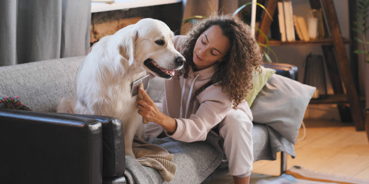 Pets: dicas de limpeza e organização para quem tem pets em casa