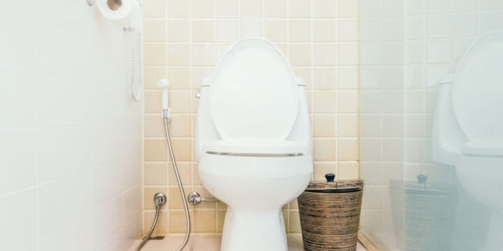 Como tirar o mau cheiro do banheiro: 04 truques infalíveis